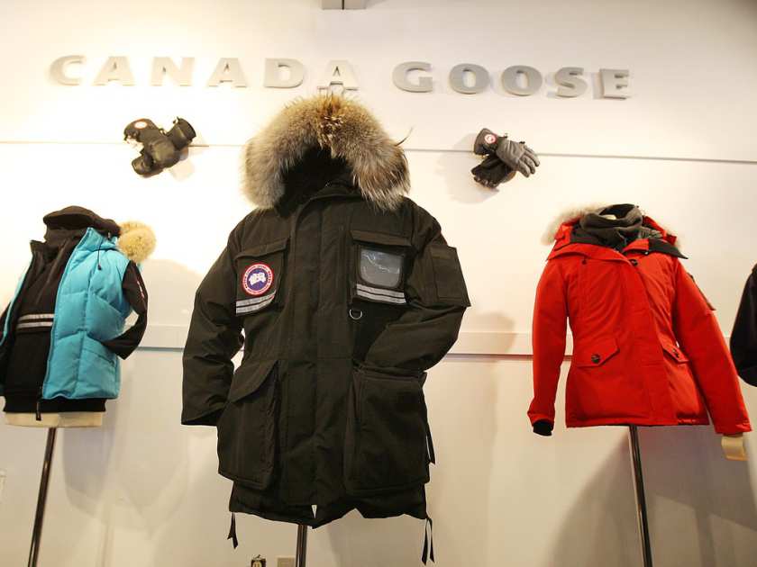 1-canada-goose-