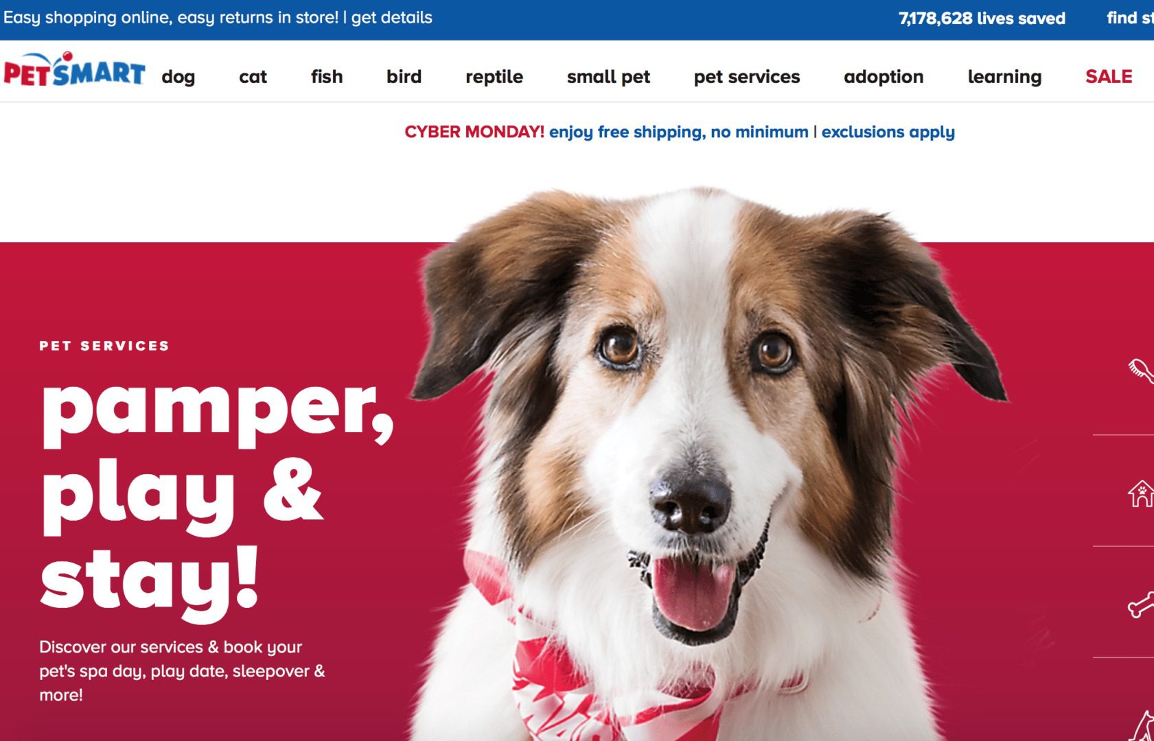 Shop petsmart outlet online